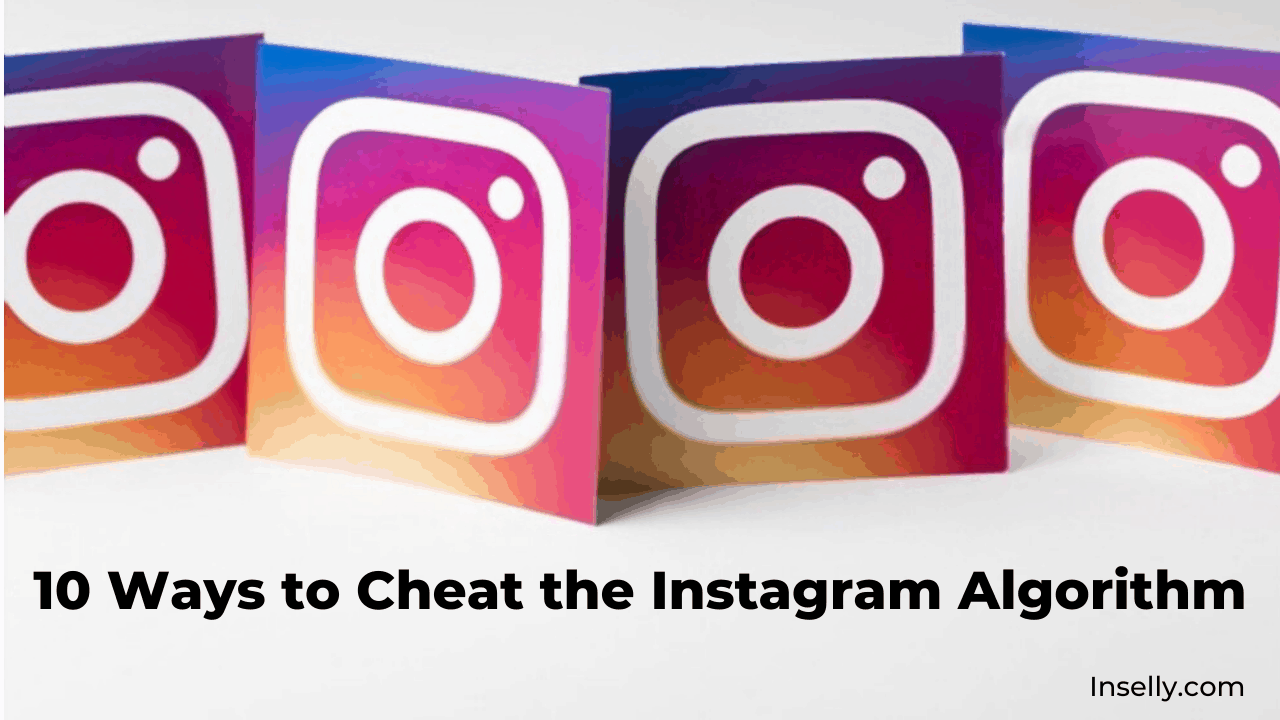 Cheating Instagram Algorithm Strategies in 2024 Inselly