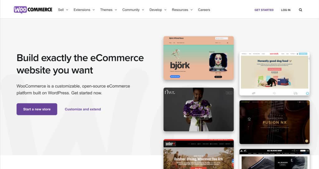 woocommerce store