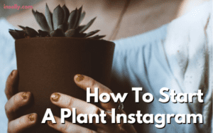 How To Start A Plant Instagram