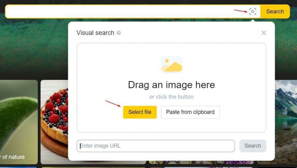 Image Search Yandex