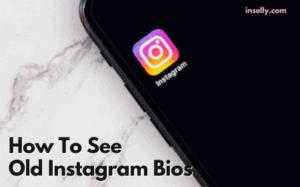 How To See Old Instagram Bios